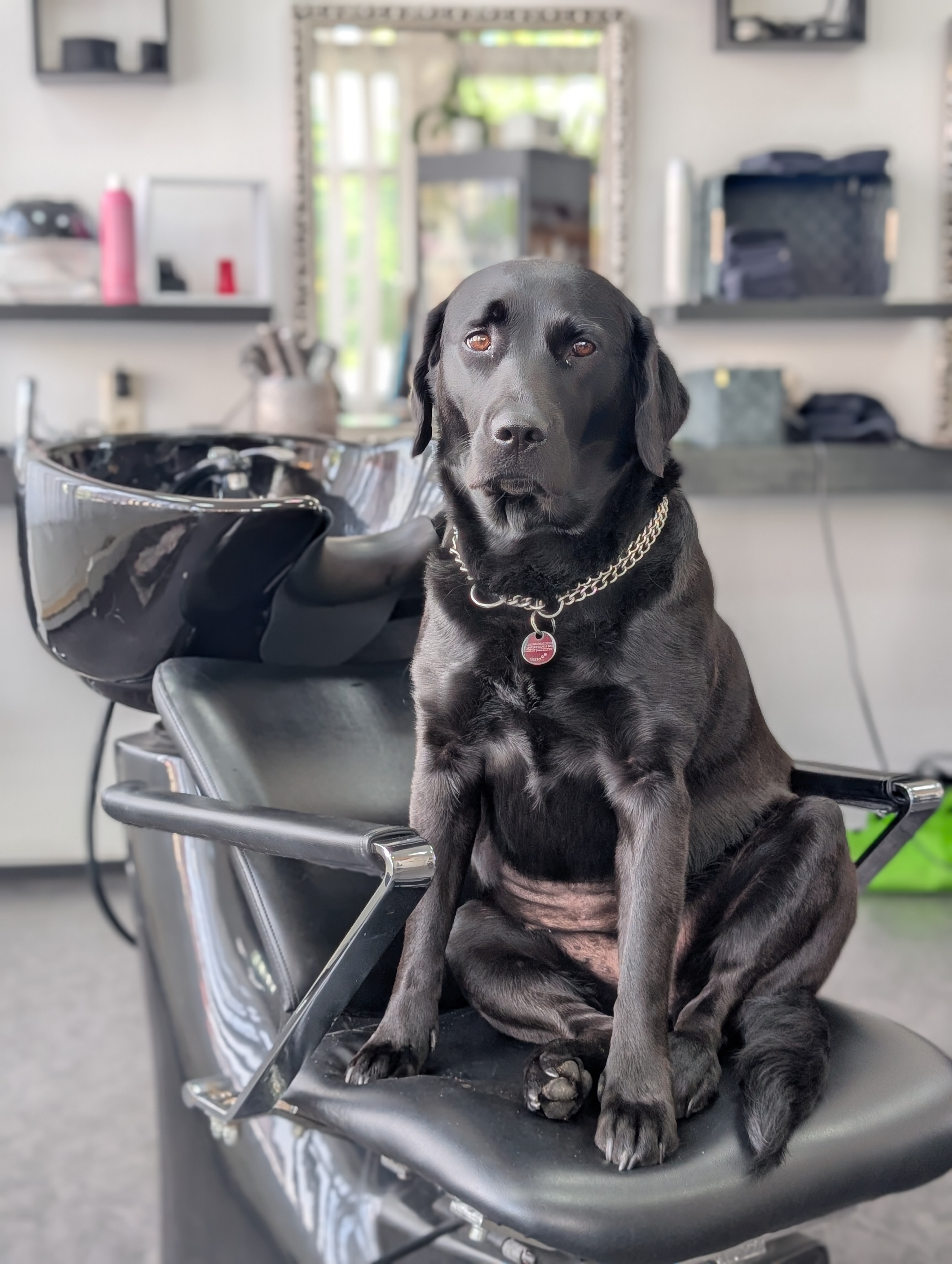 Cheffin im Salon C. W. Ihr Friseur